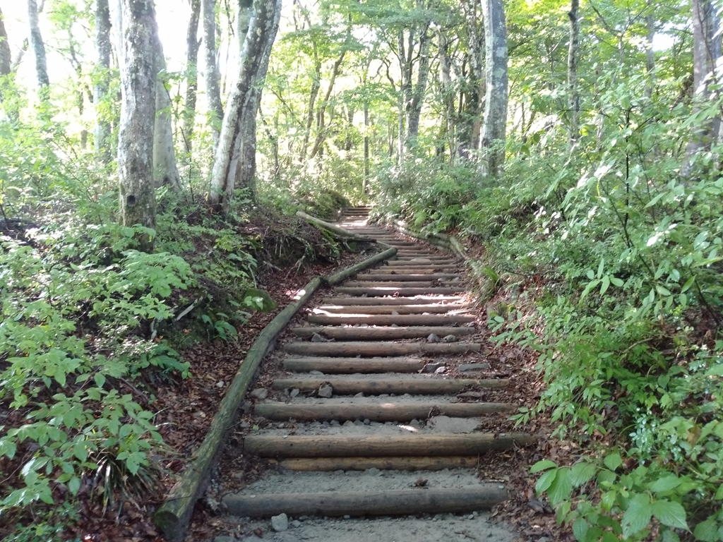 鳥取大山