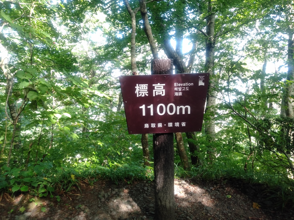 大山 標高1000m