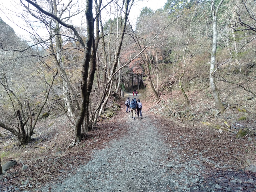 鍋割山の林道
