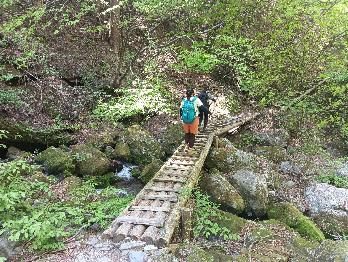 春の武甲山