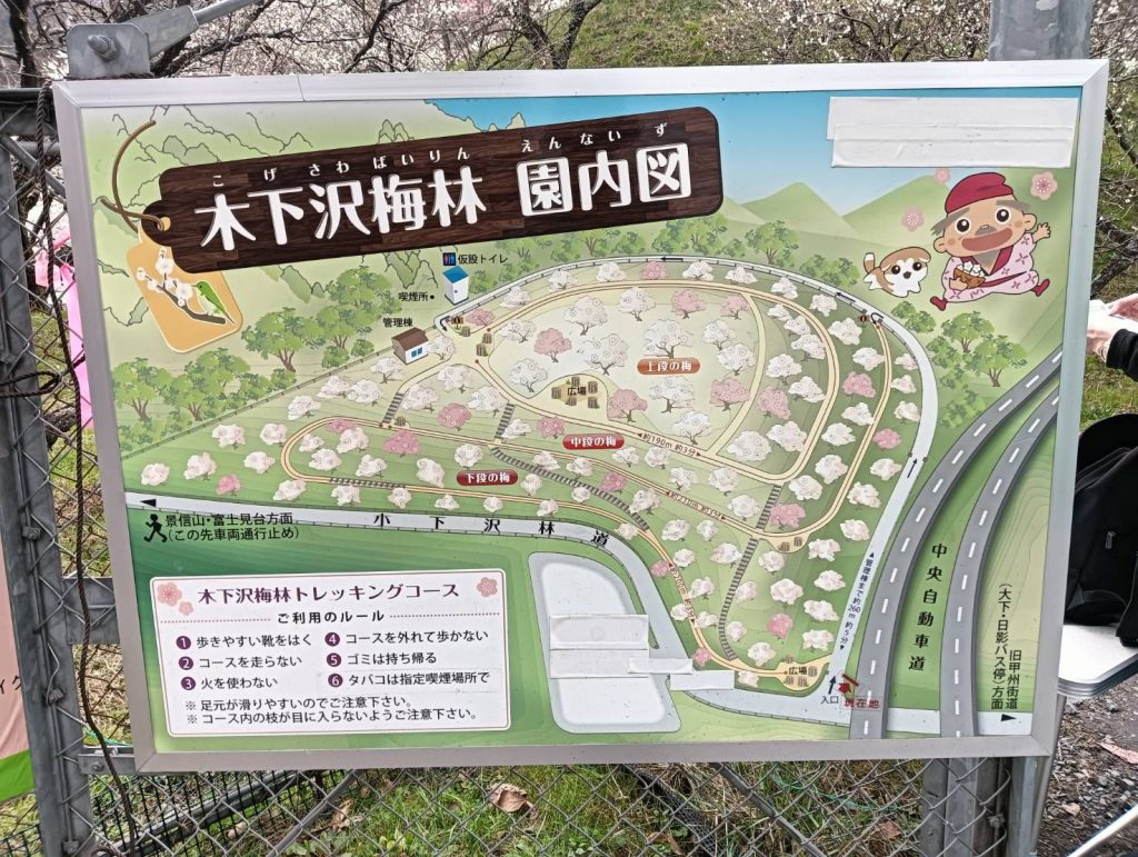 木下沢梅林 園内