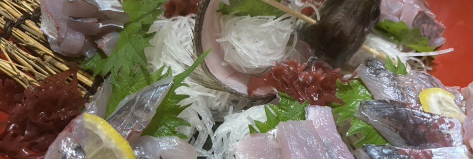 東京湾でアジ釣り