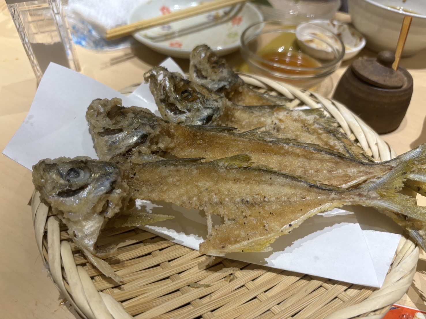 東京湾でアジ釣り