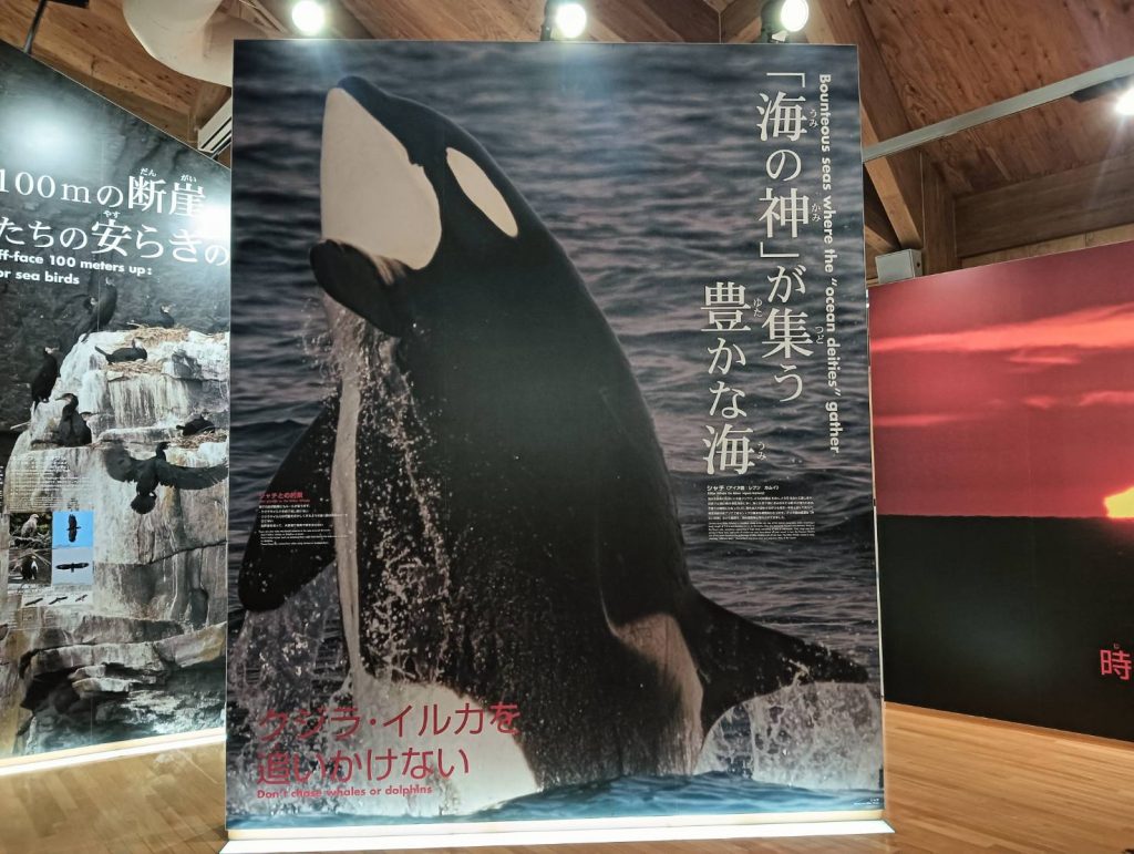 知床世界遺産センター