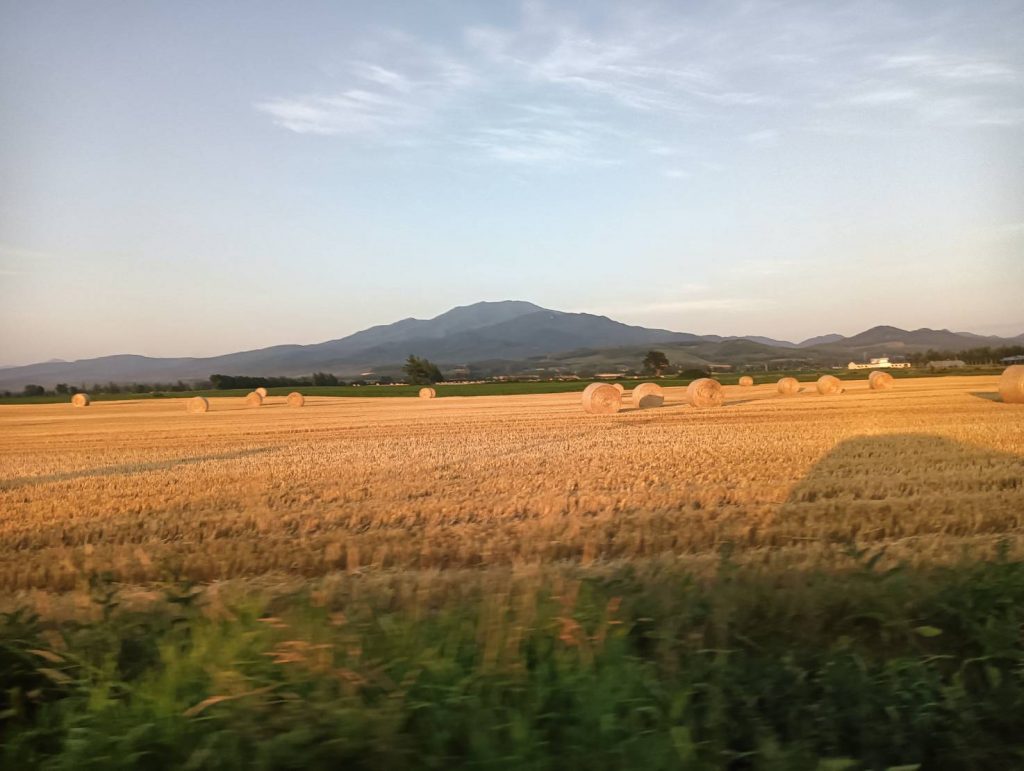 斜里岳を望む