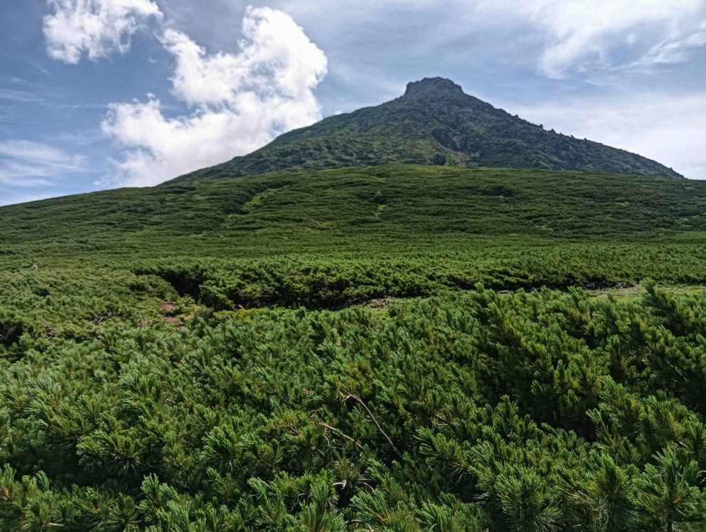 羅臼岳