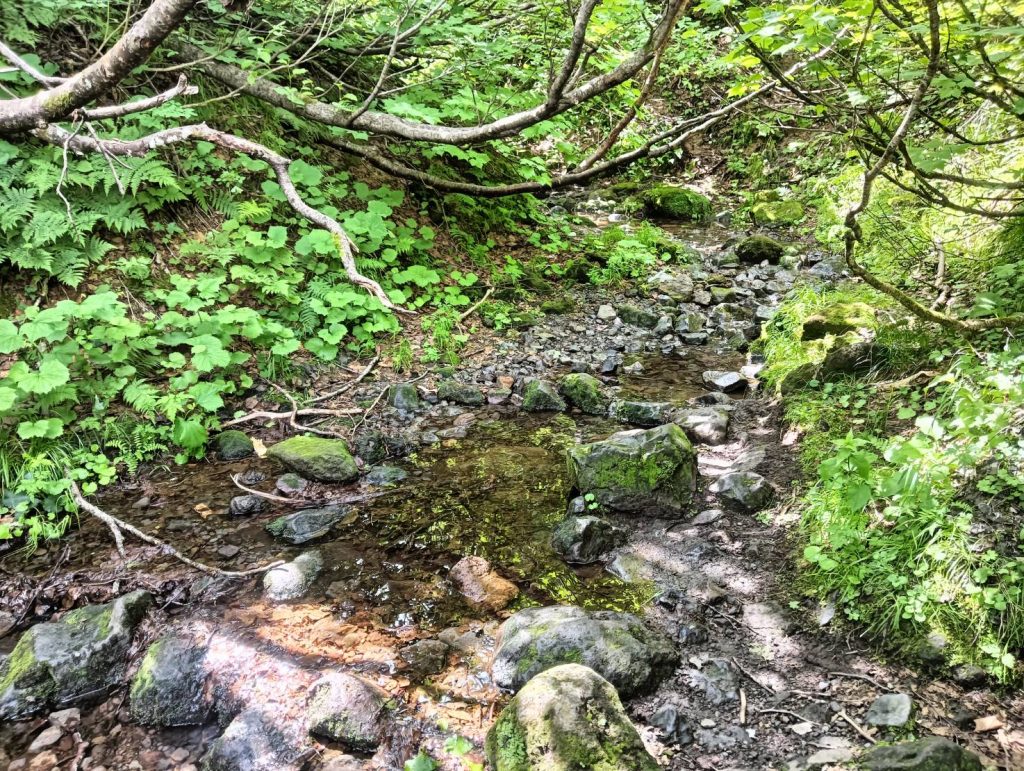 銀冷水 羅臼岳