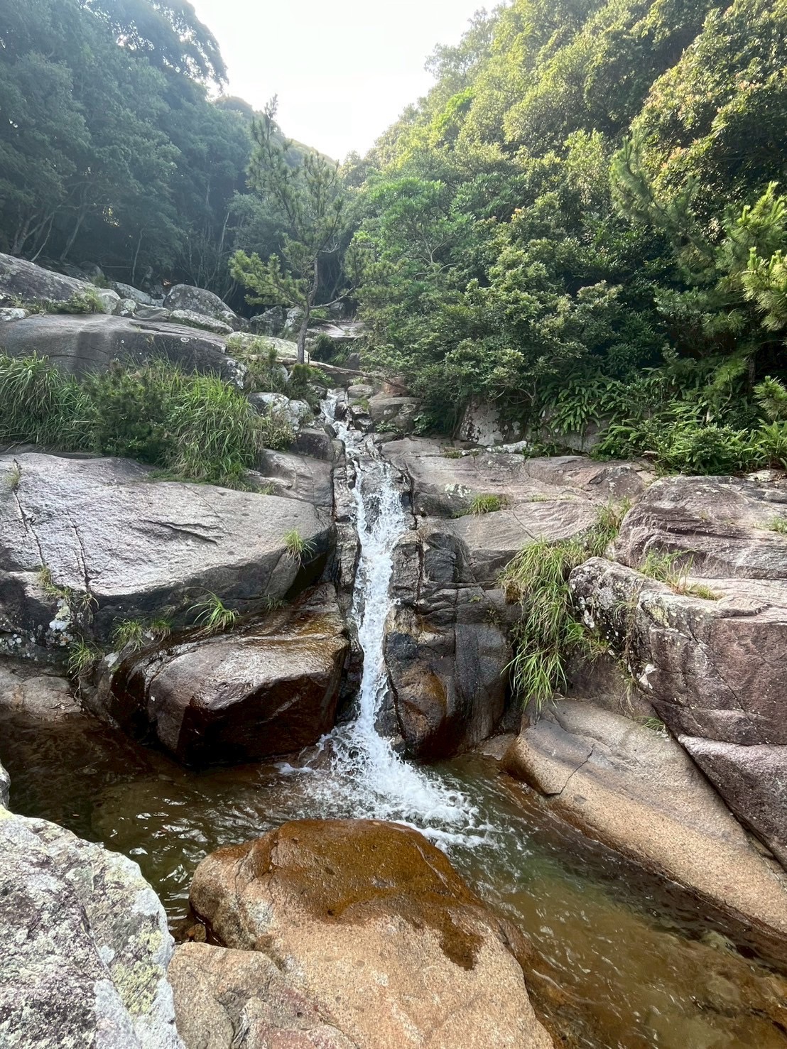 オハイ