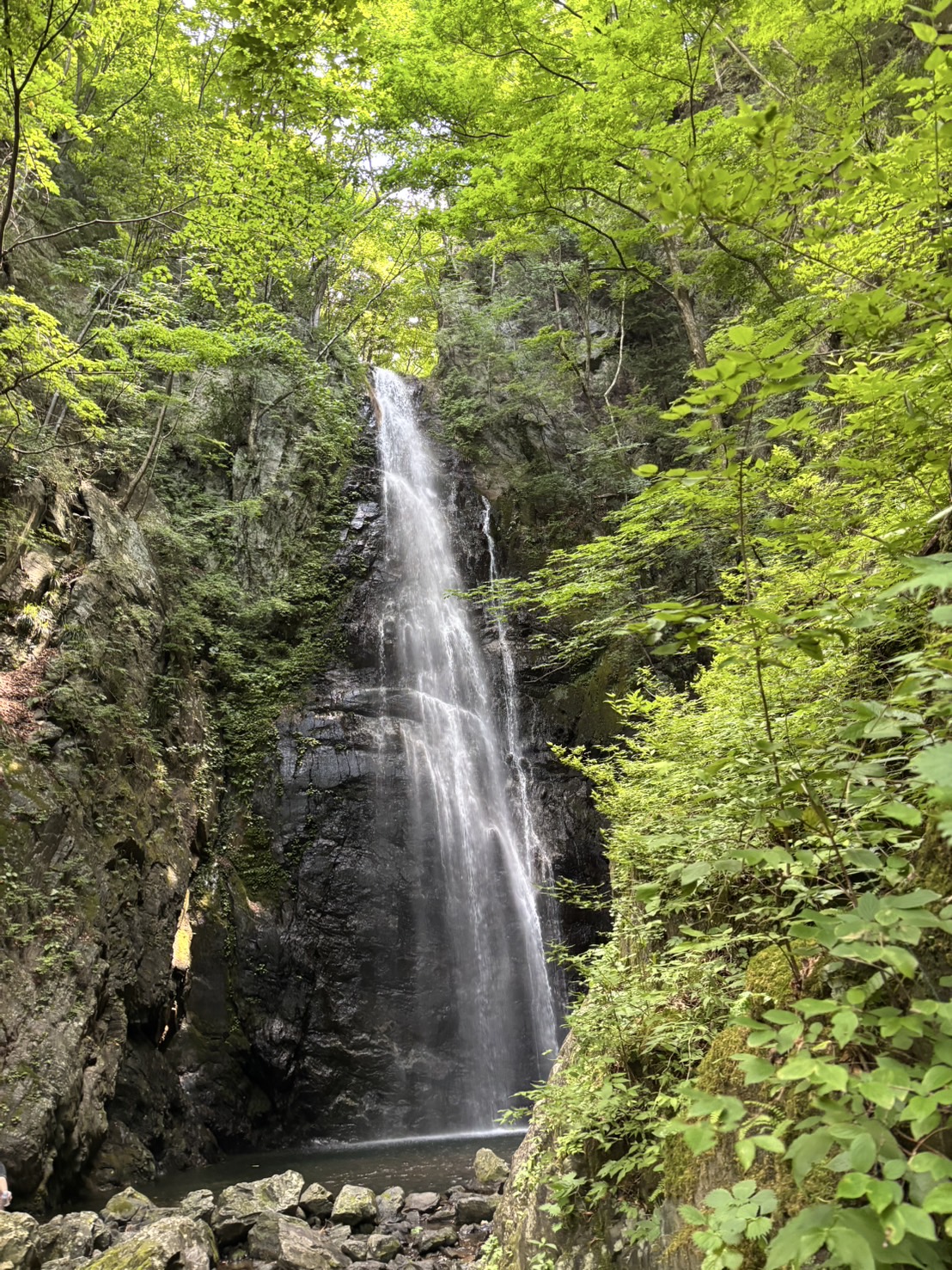 2025年6月29日 川苔山