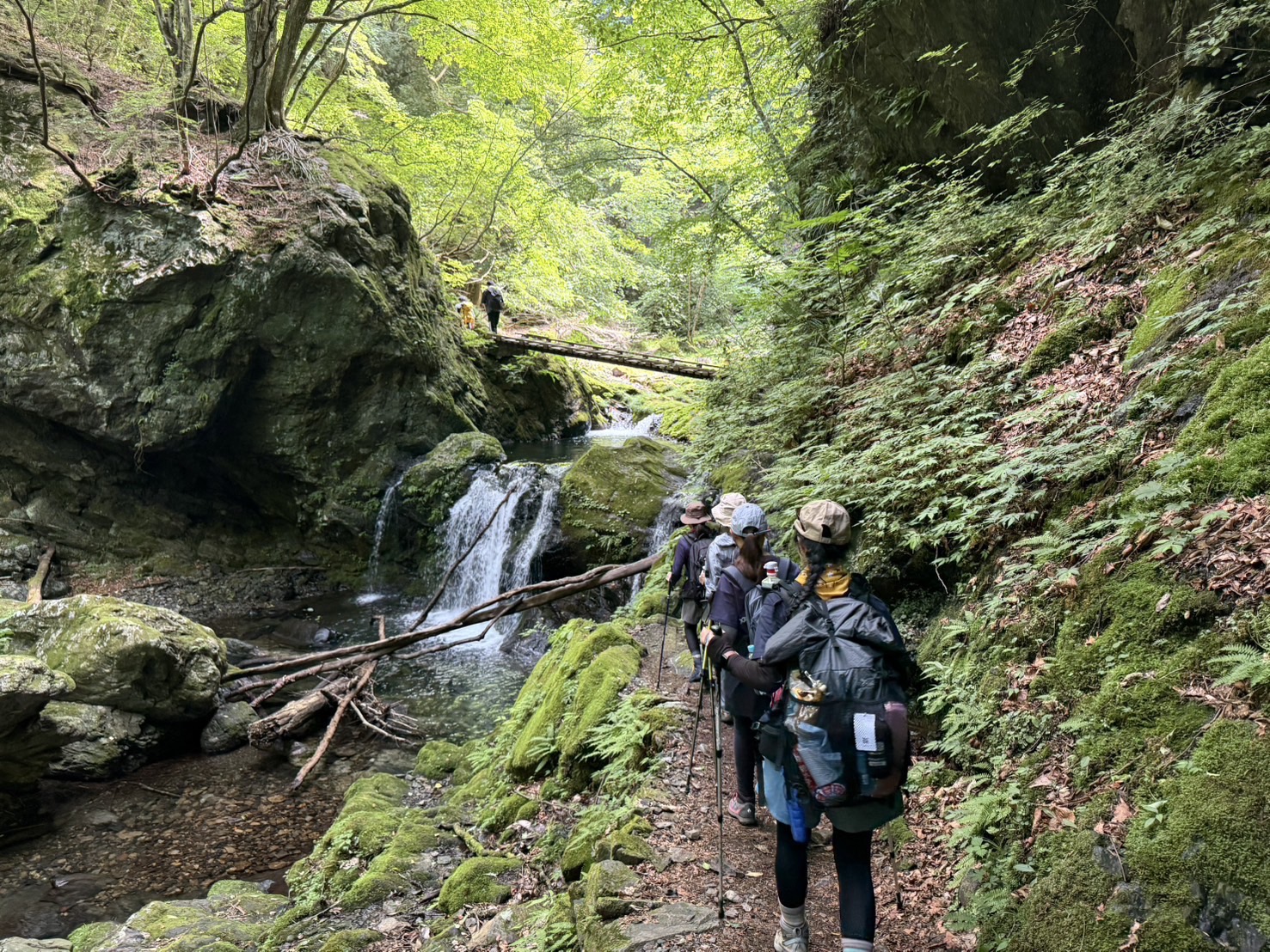 2025年6月29日 川苔山
