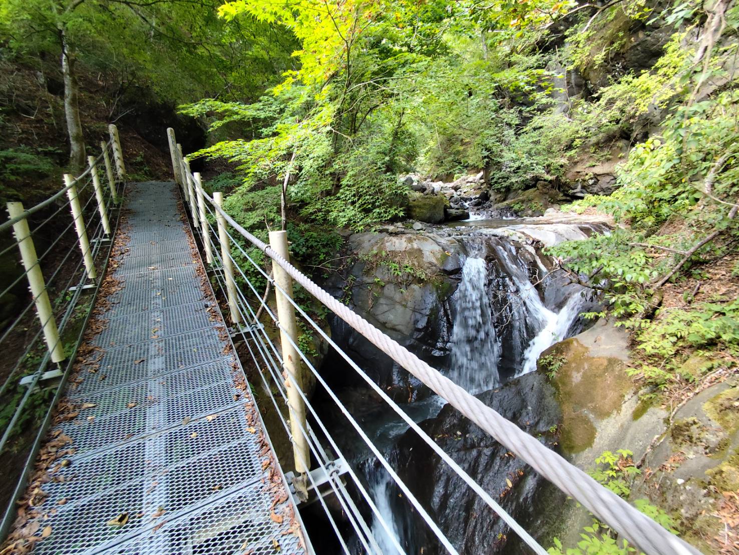 大柳川渓谷＆赤石温泉