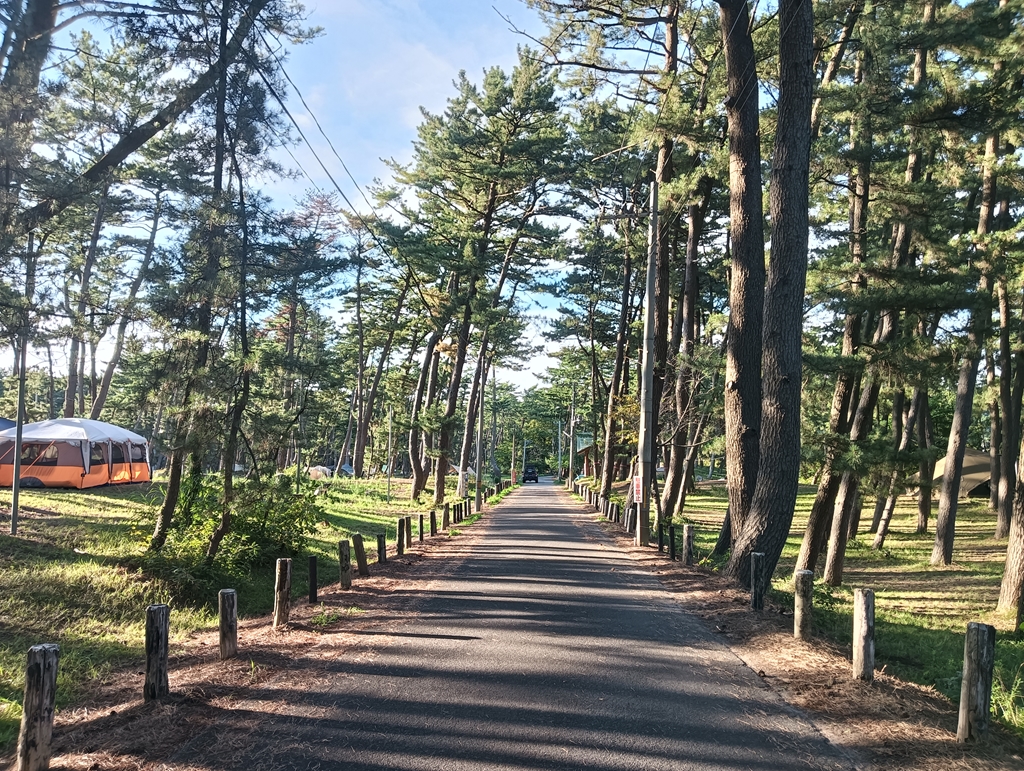 西浜キャンプ場のテント場