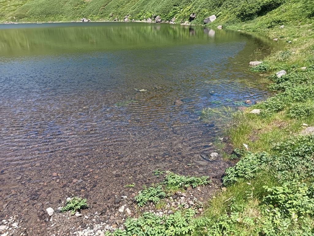 鳥海湖の水辺