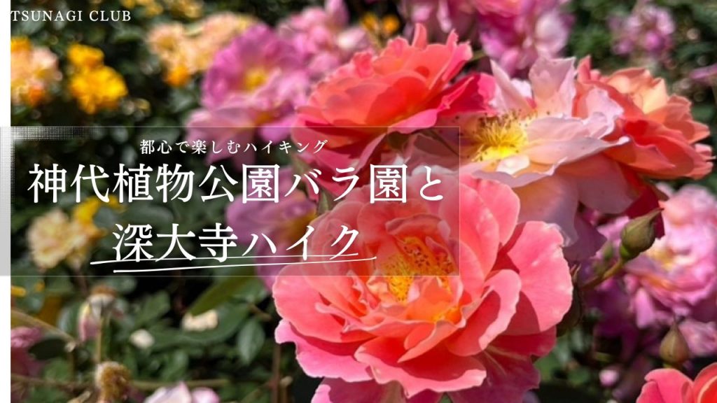 神代植物公園バラ園と深大寺ハイク