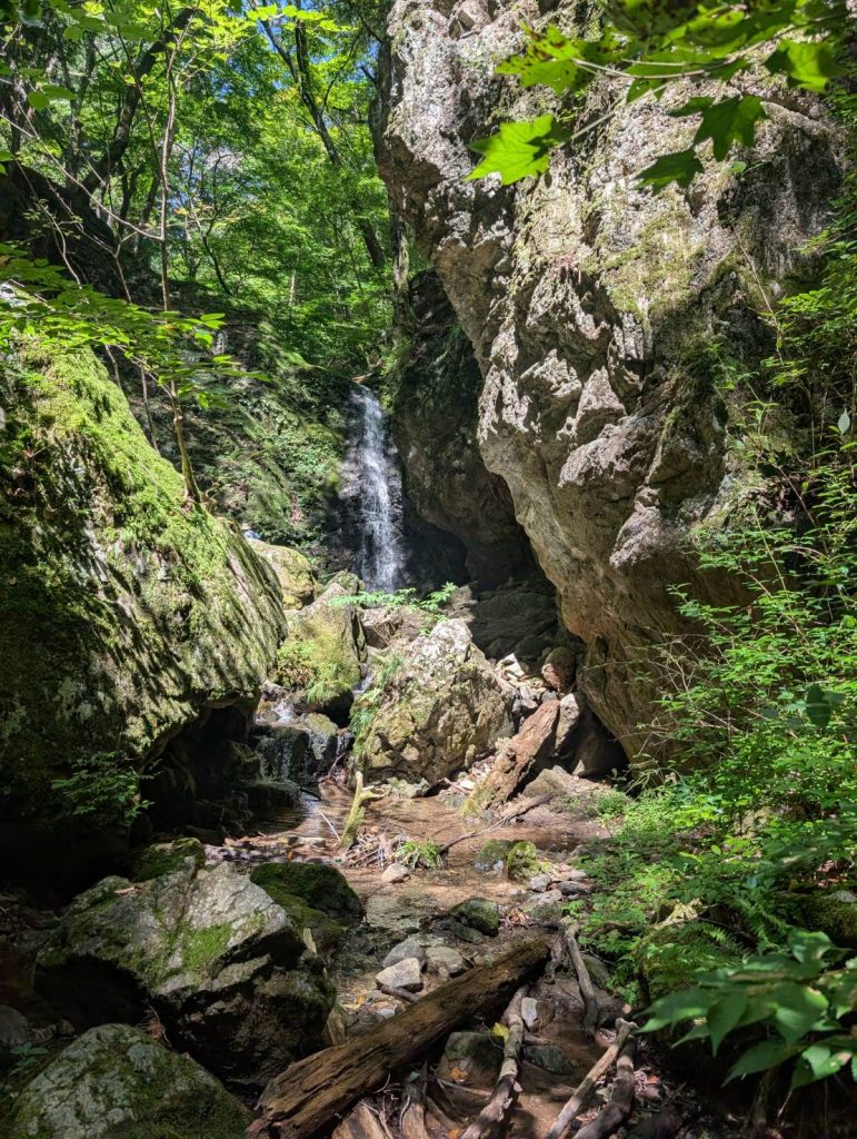 御岳山ロックガーデン