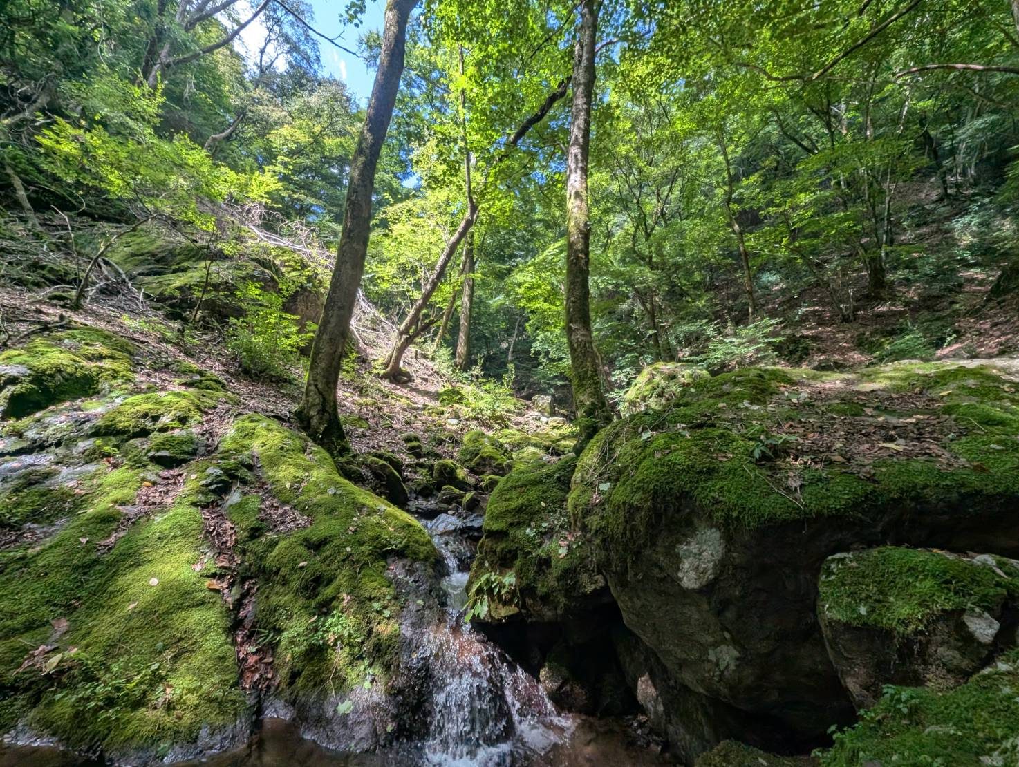 御岳山ロックガーデン