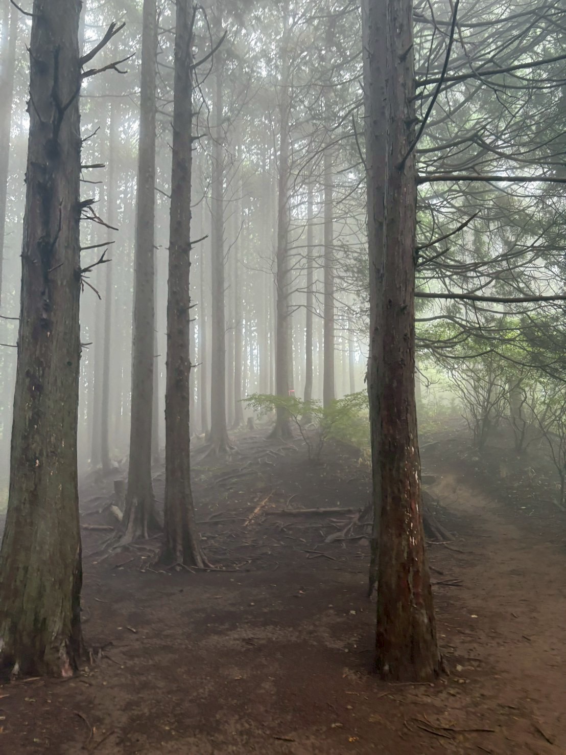 秋の陣馬山