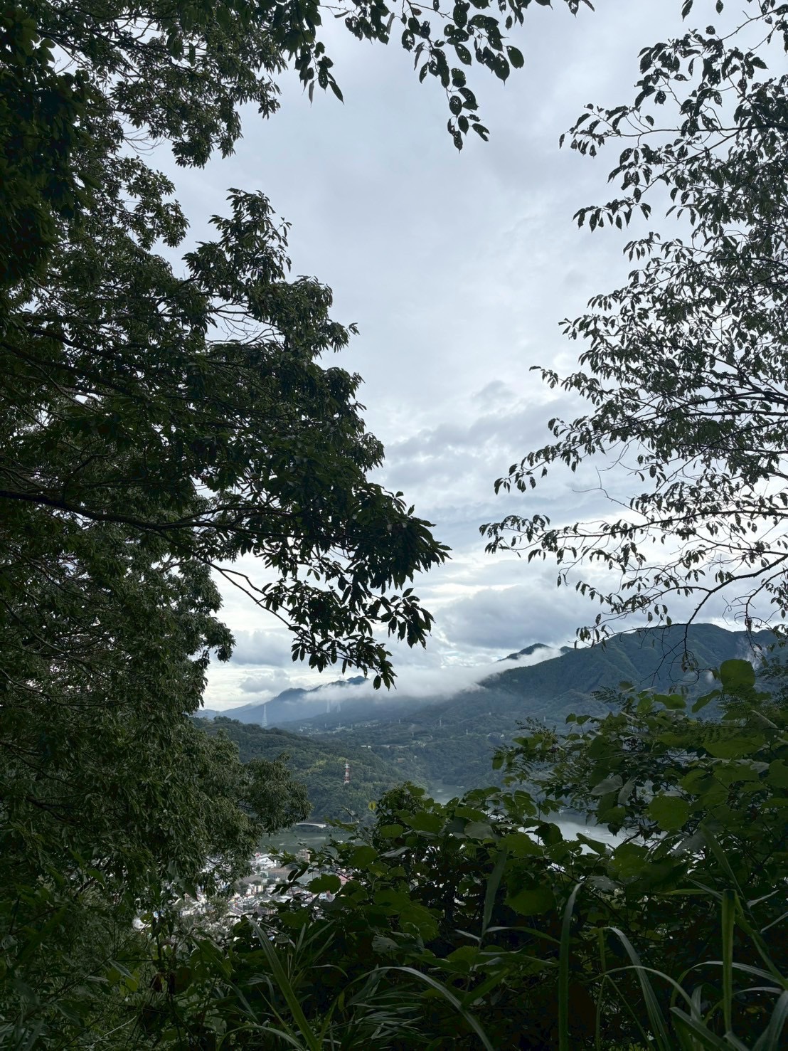 秋の陣馬山