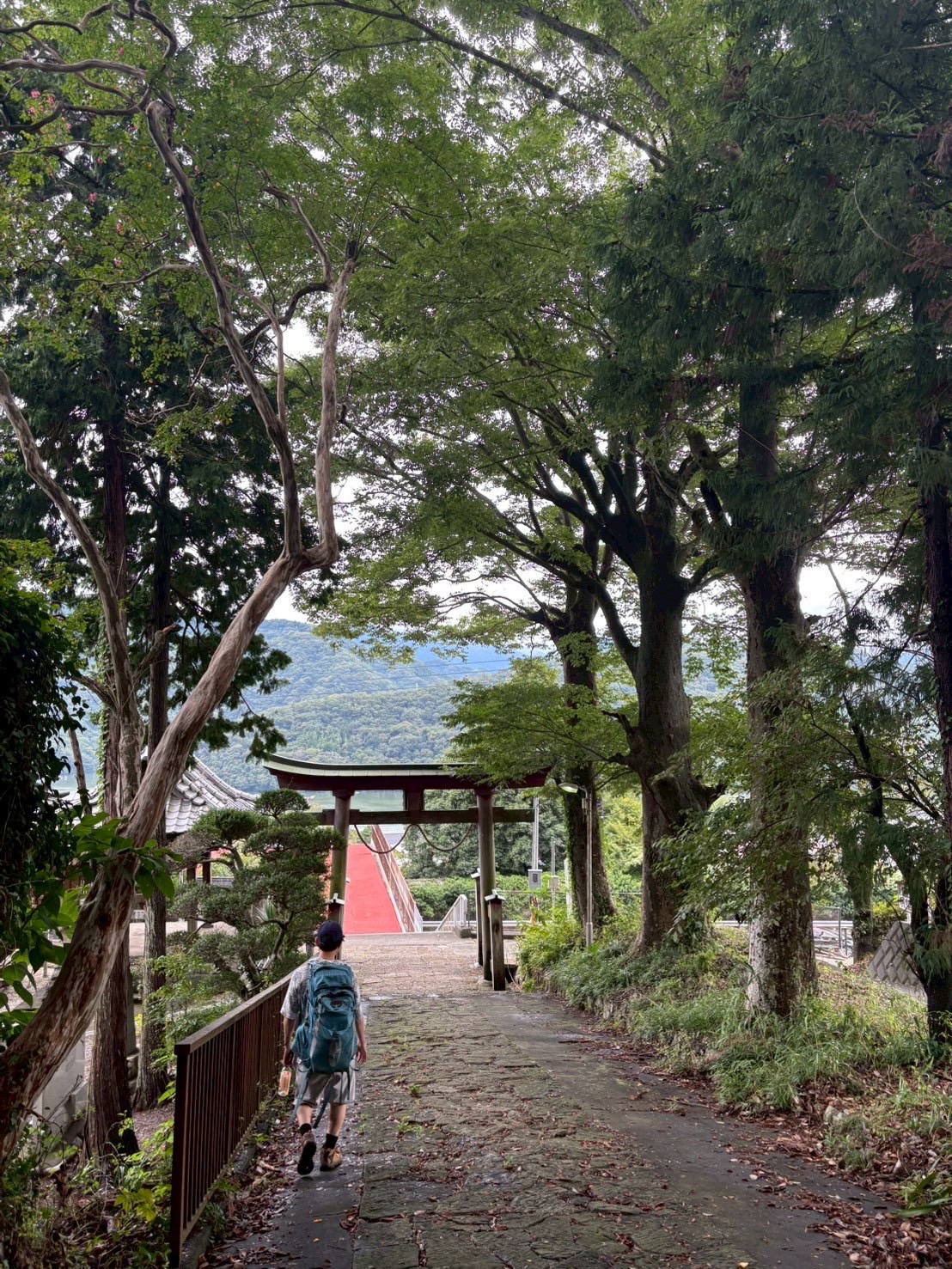 秋の陣馬山