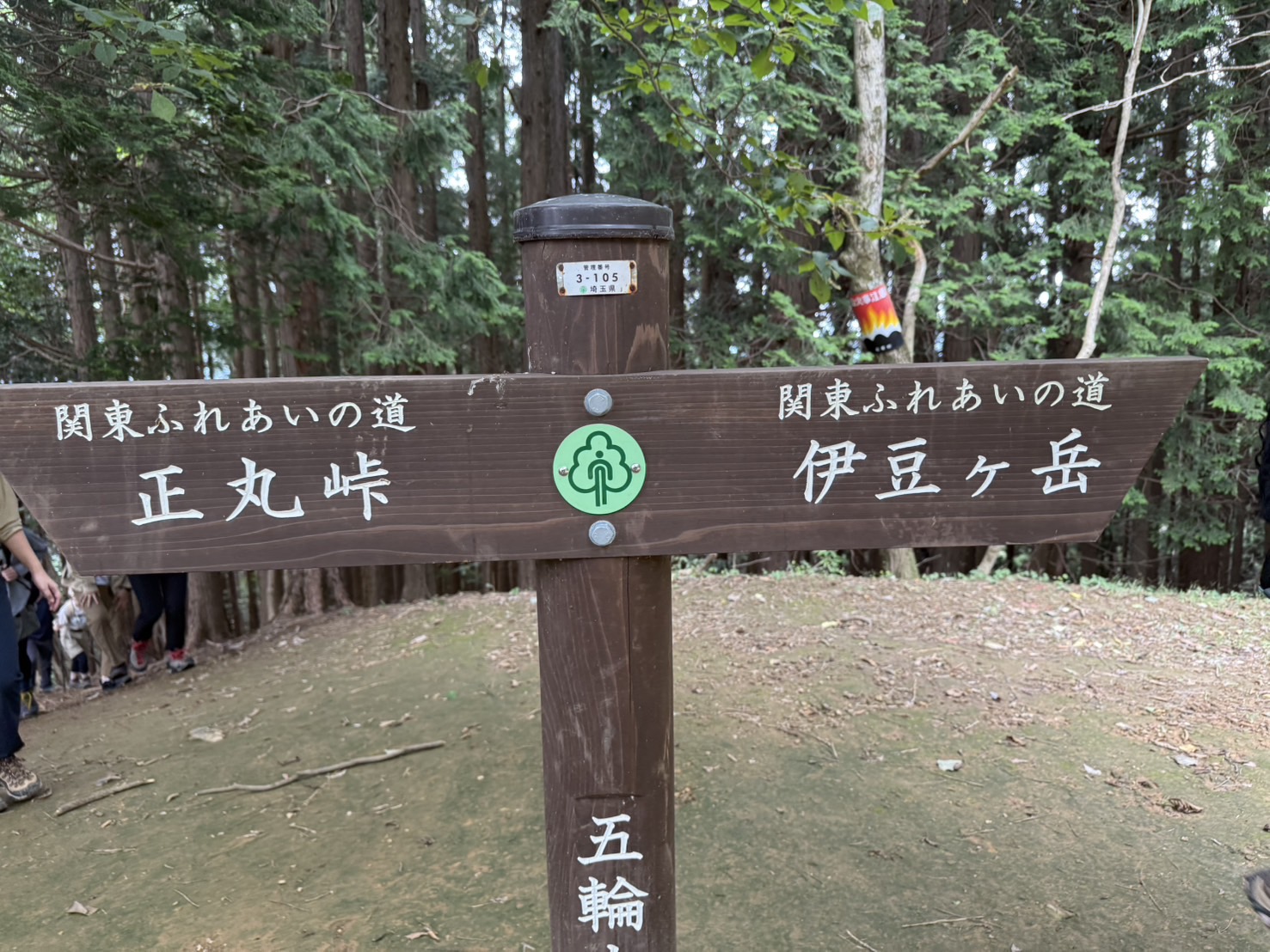 埼玉・伊豆ヶ岳