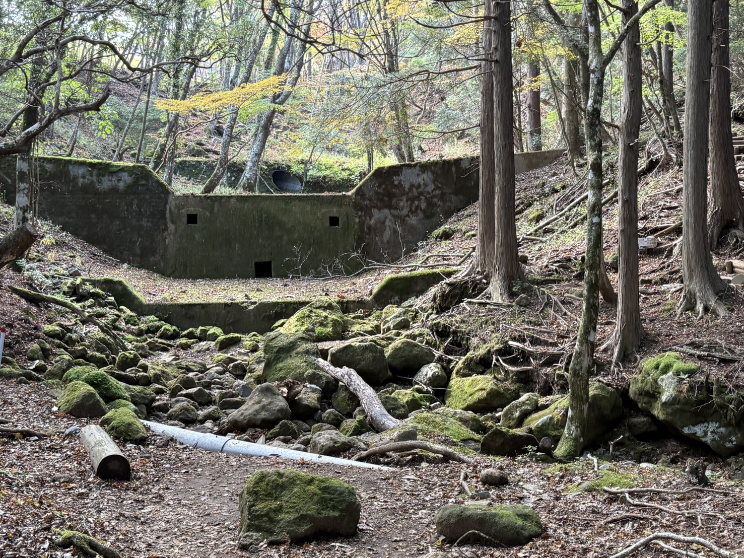 ゆるドア関東 天城山 2025