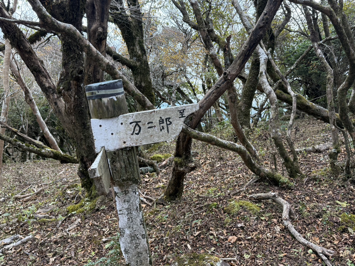 ゆるドア関東 天城山 2025