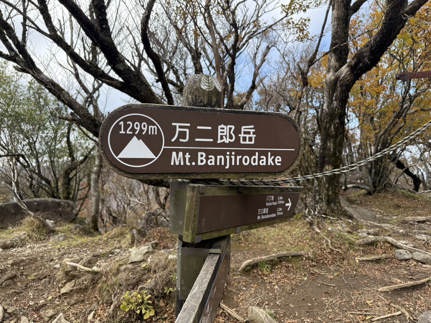 ゆるドア関東 天城山 2025