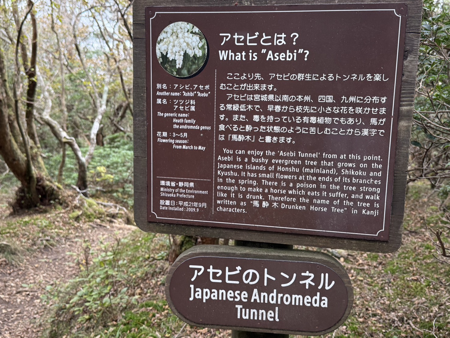 ゆるドア関東 天城山 2025