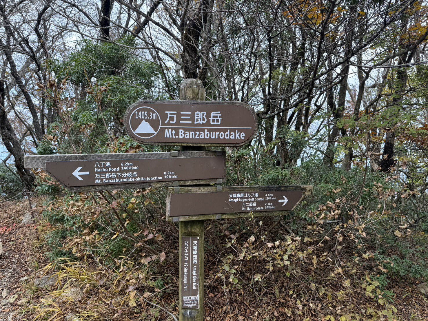 ゆるドア関東 天城山 2025