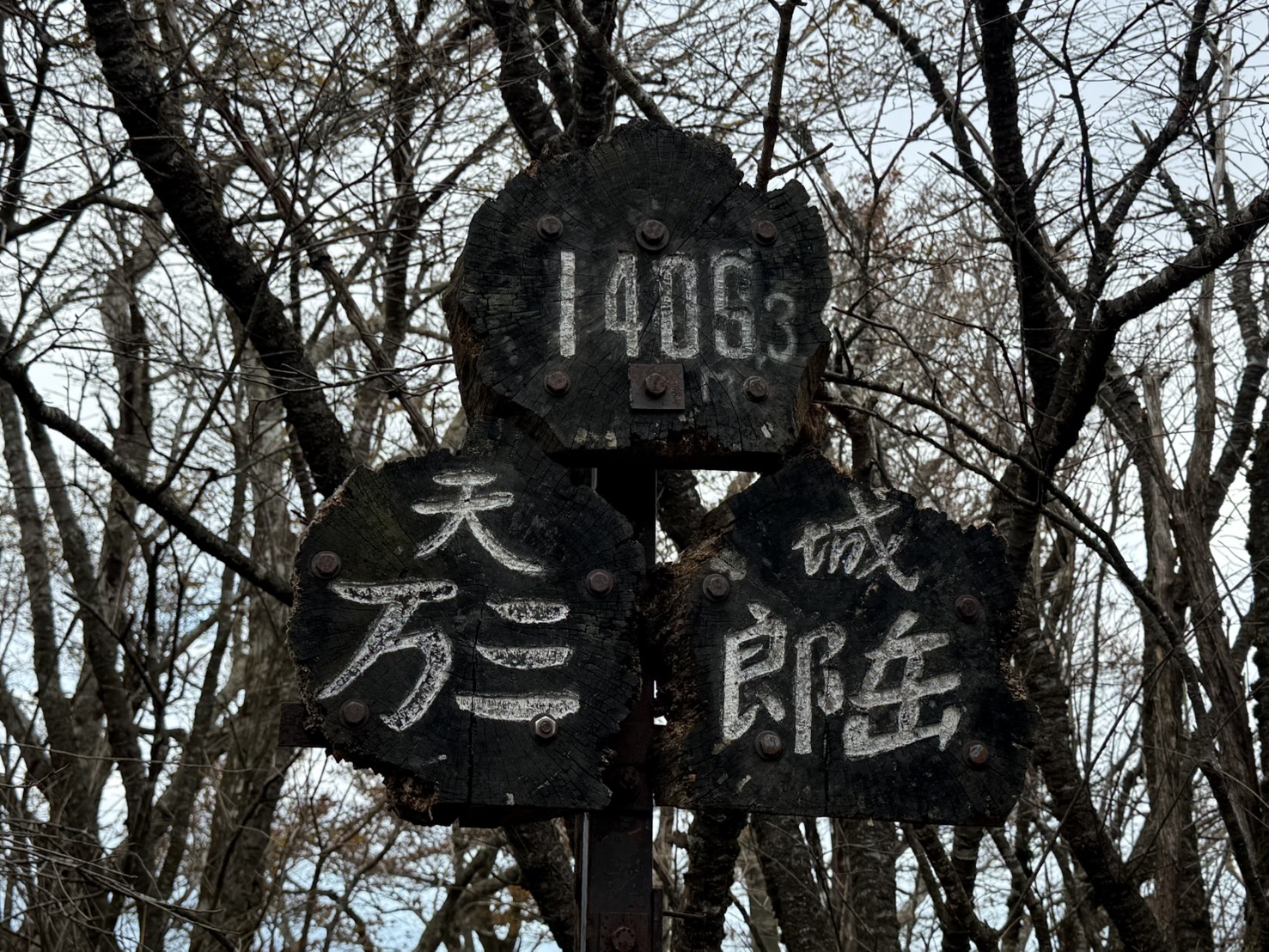 ゆるドア関東 天城山 2025