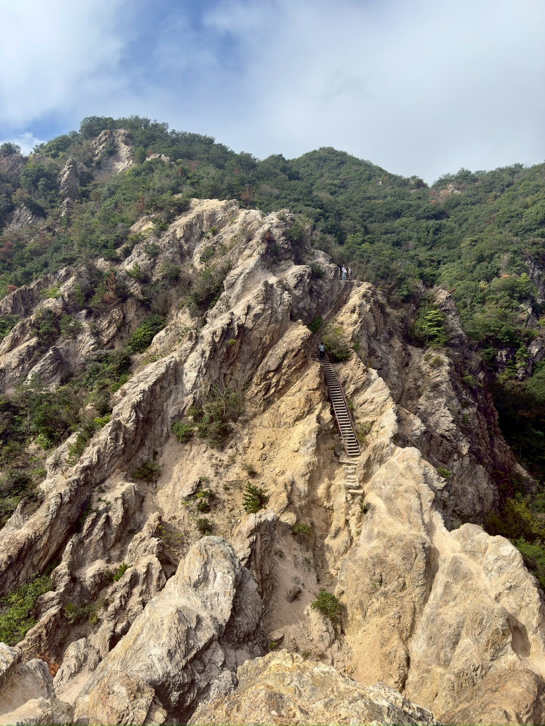 須磨アルプスから馬の背を