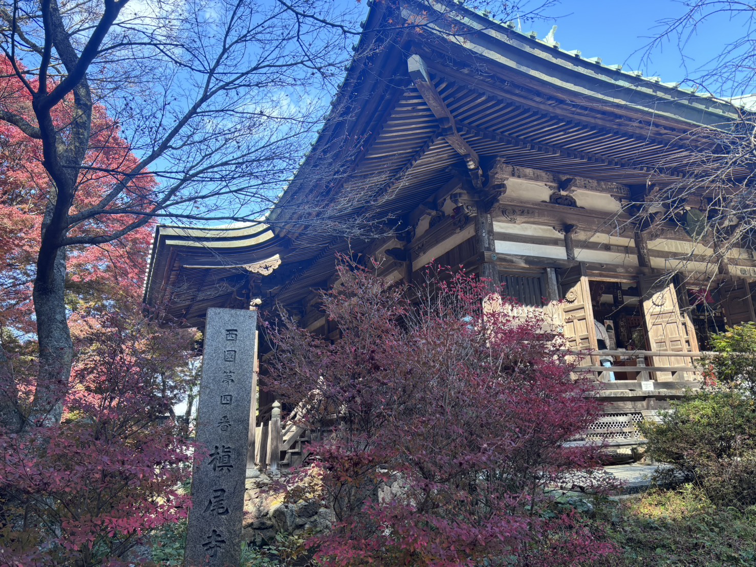 槇尾山・八ヶ丸山