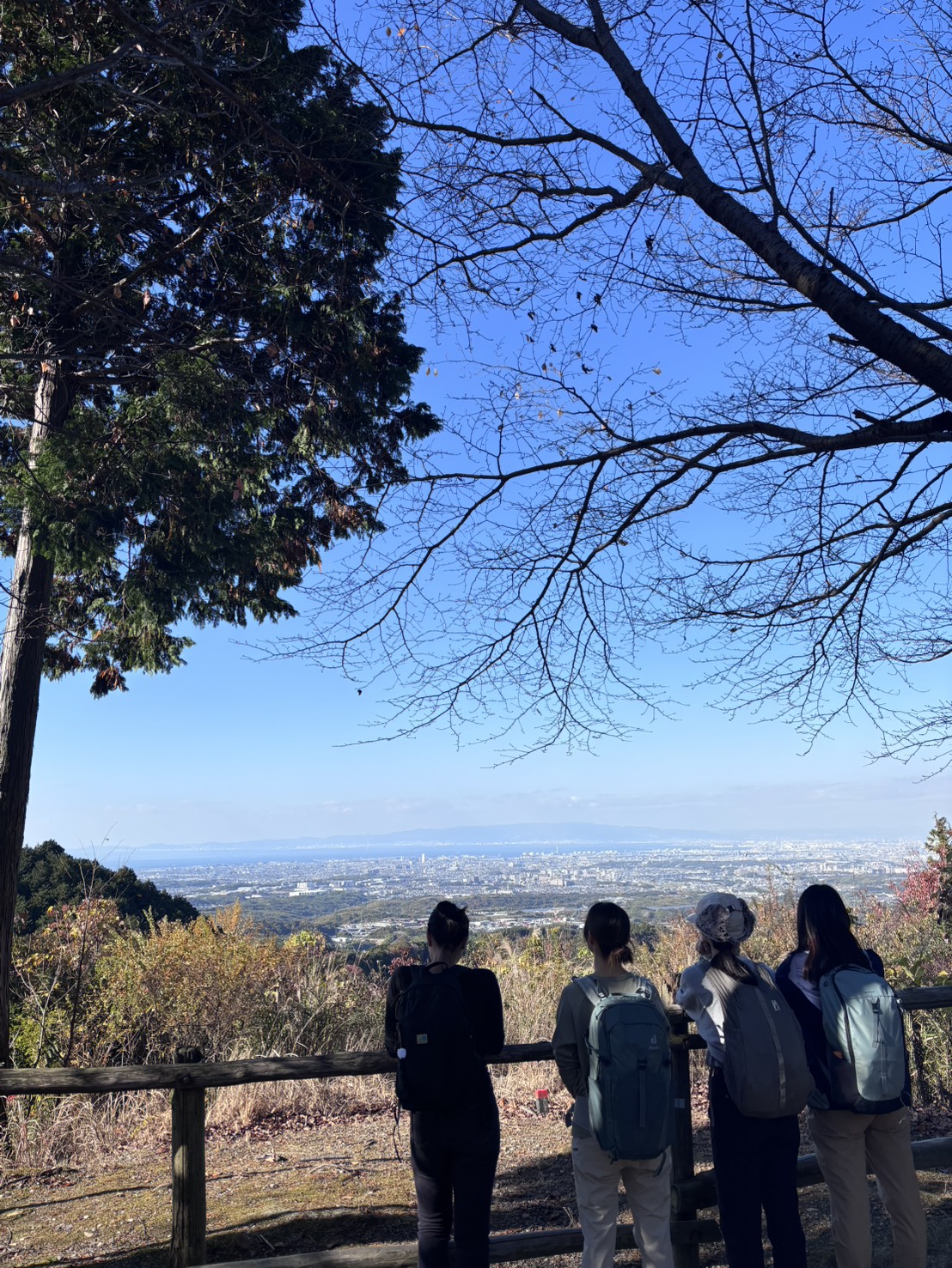 槇尾山・八ヶ丸山