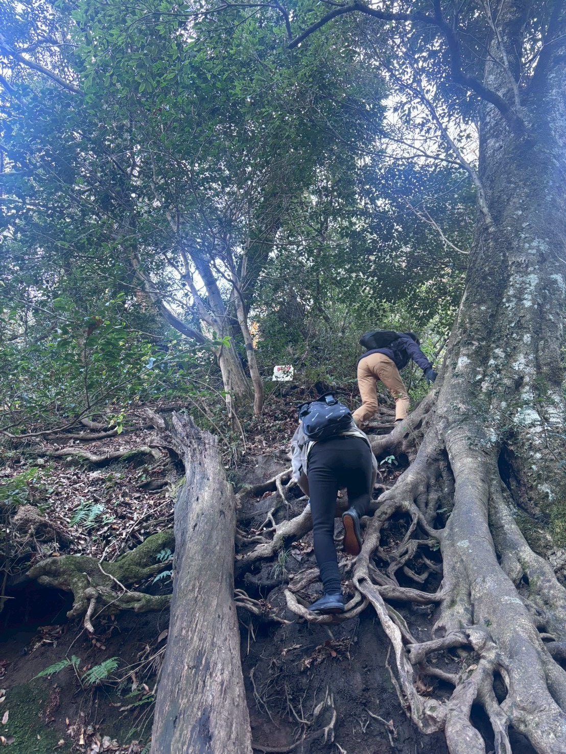 関西グループ 投入堂