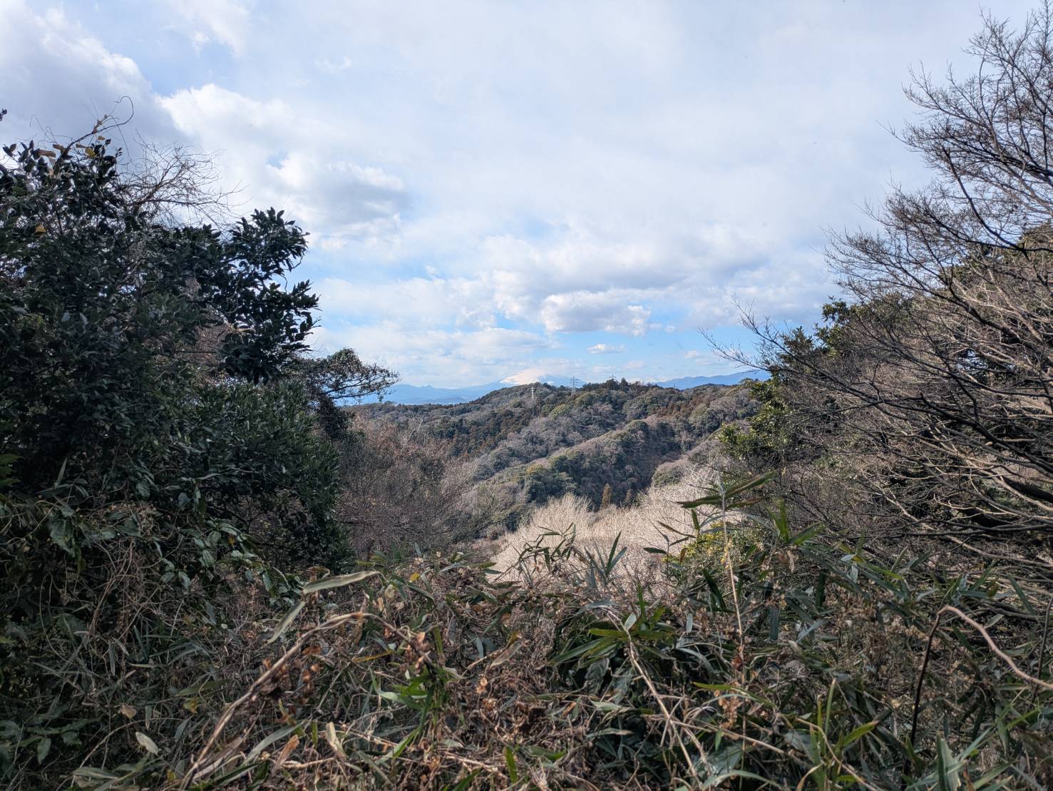 冬の鎌倉アルプス 2026