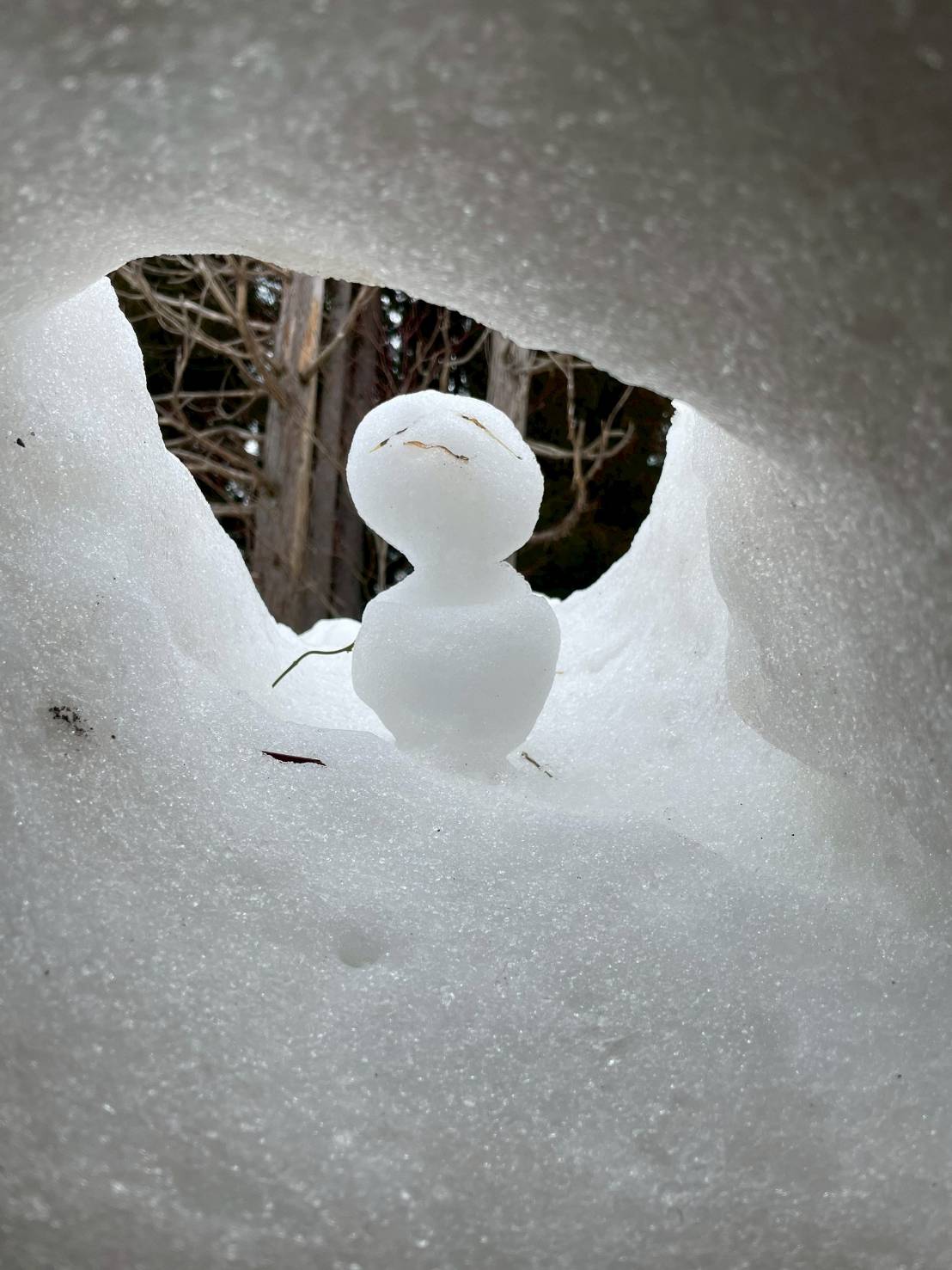 福井かまくら旅行