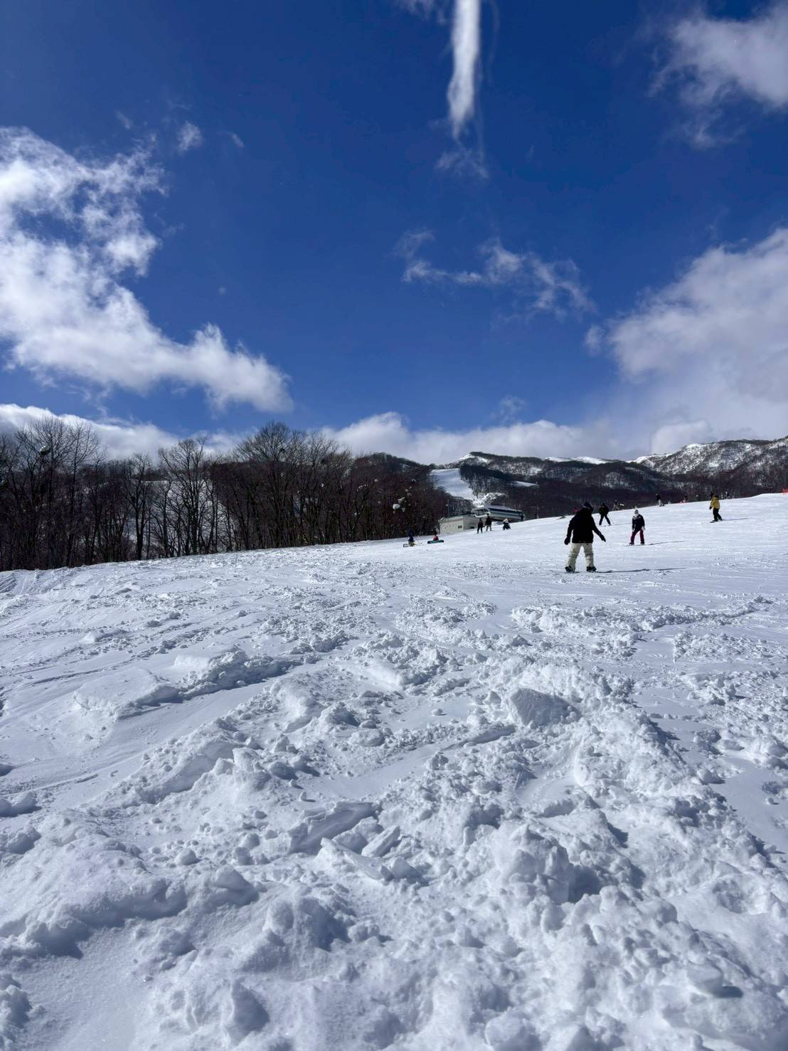 日帰りスノーボード
