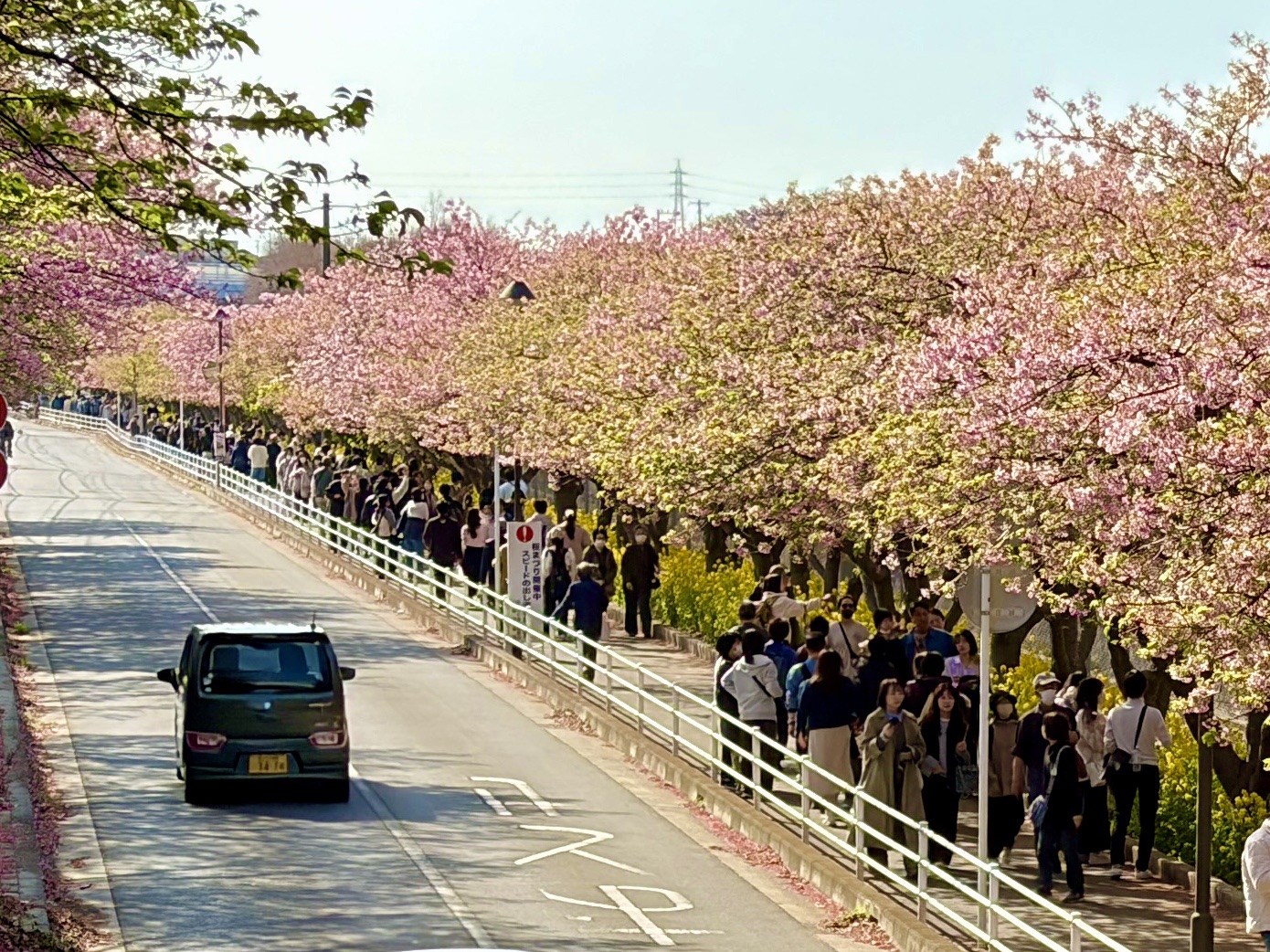 天園（鎌倉アルプス）ハイキングコース